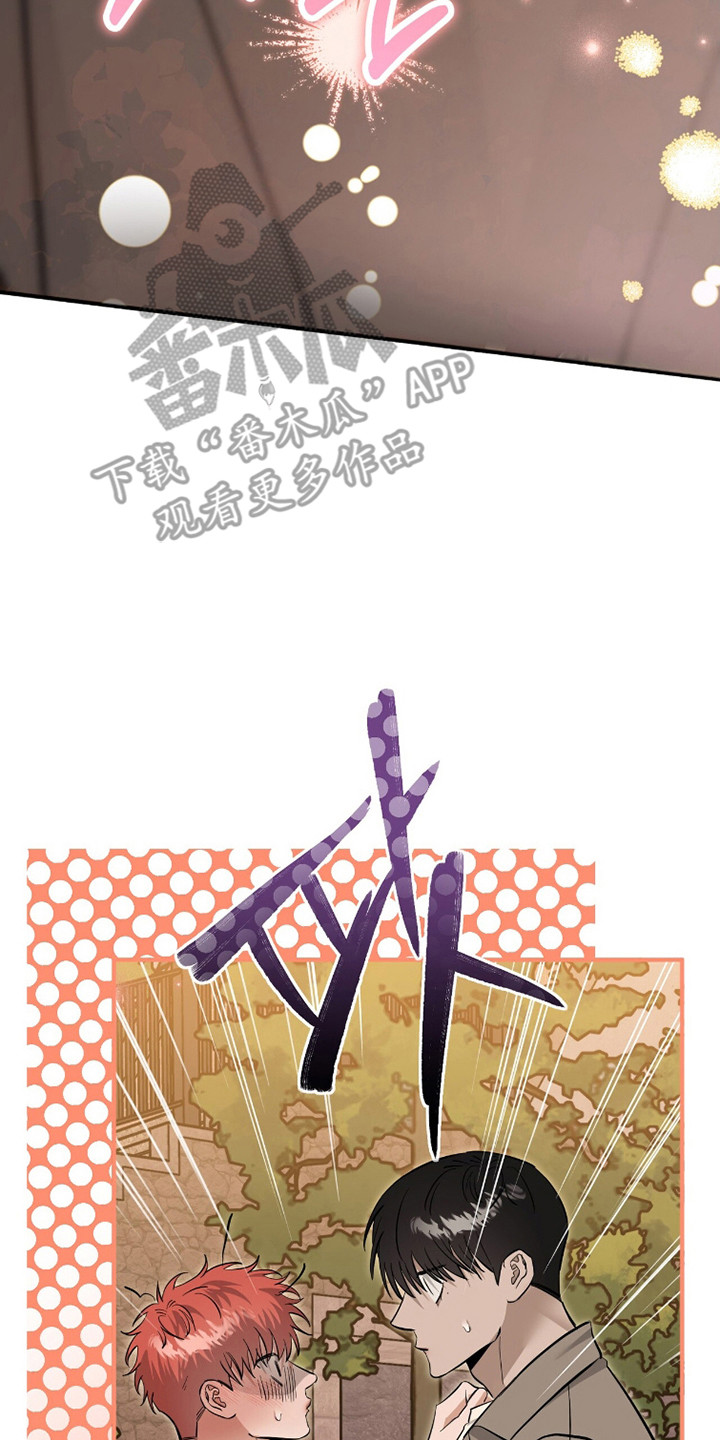 摘下星星送给你漫画,第116章：正式开始5图
