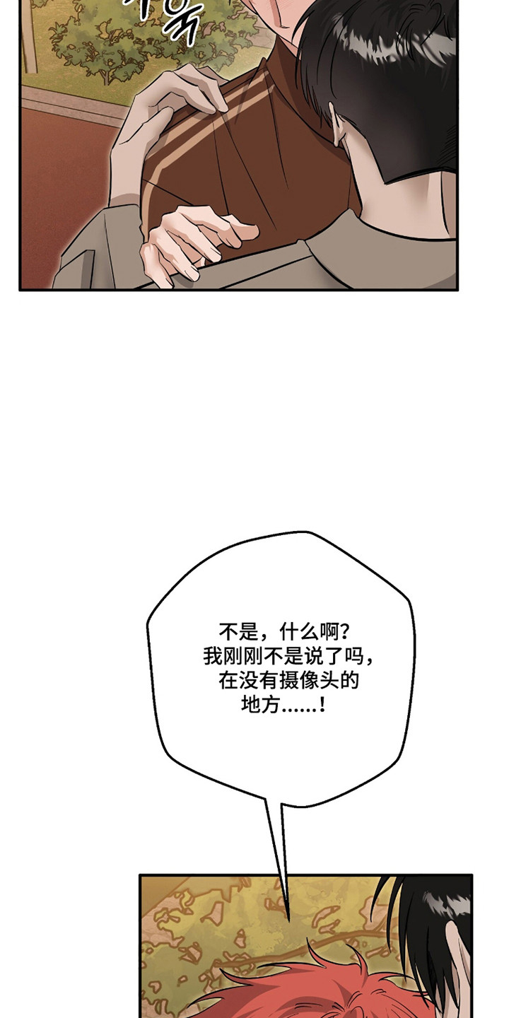 摘下星星送给你漫画,第116章：正式开始2图