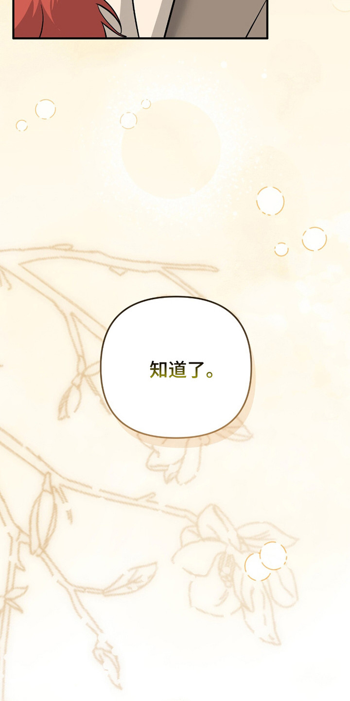 摘下星星送给你漫画,第116章：正式开始5图