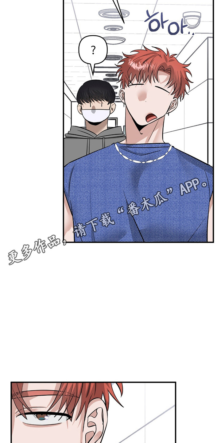 摘下星星送给你漫画,第116章：正式开始4图