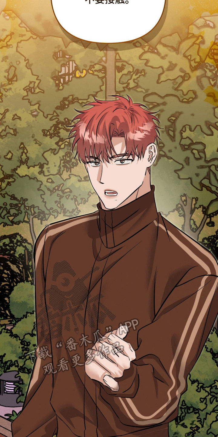 摘下星星送给你漫画,第115章：互相约定4图
