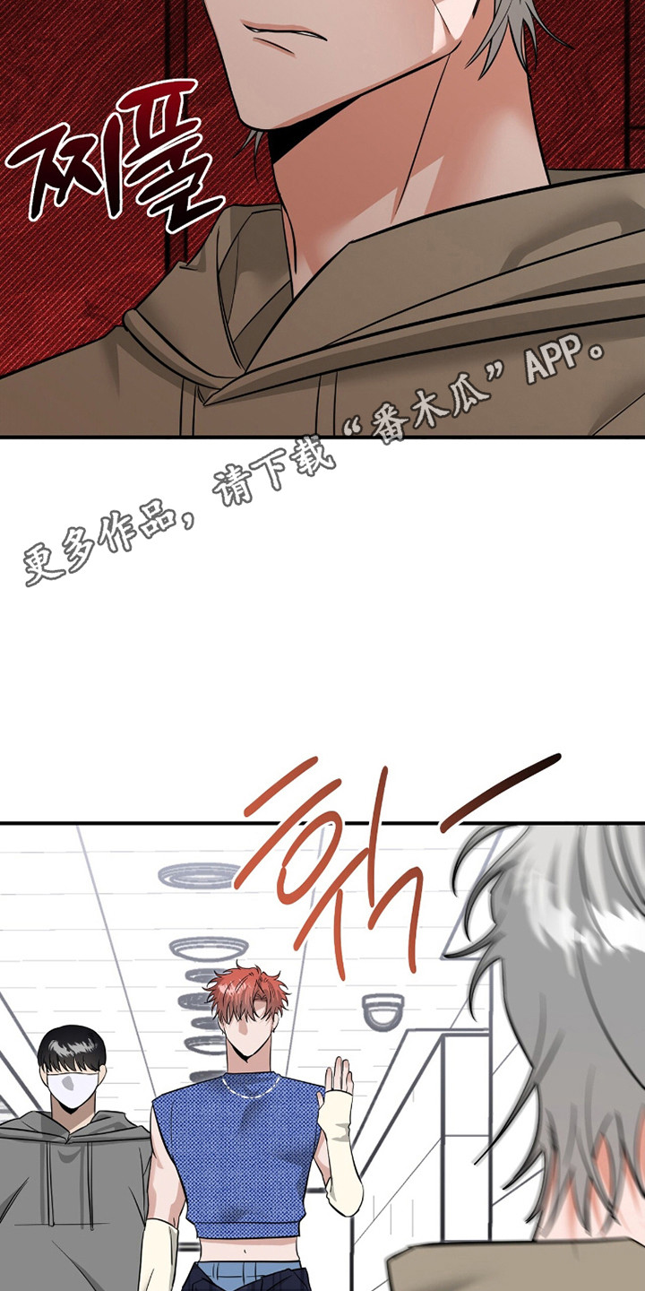 摘下星星送给你漫画,第116章：正式开始4图