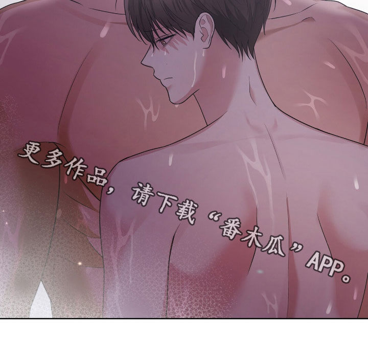 机长密约漫画,第80章：真的很喜欢你4图