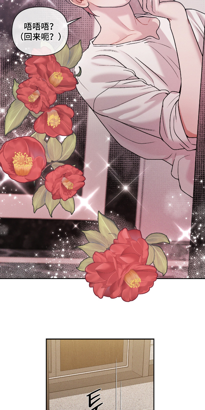 点燃的罪孽漫画,第53章：会议时间5图