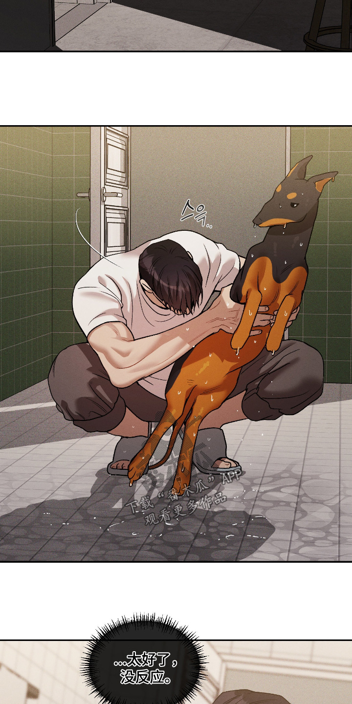 点燃的罪孽漫画,第54章：你继续1图