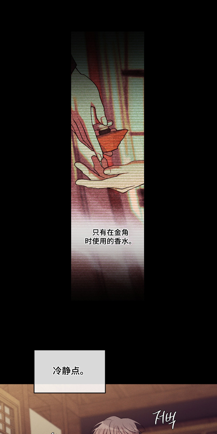 点燃的罪孽漫画,第48章：噩梦4图