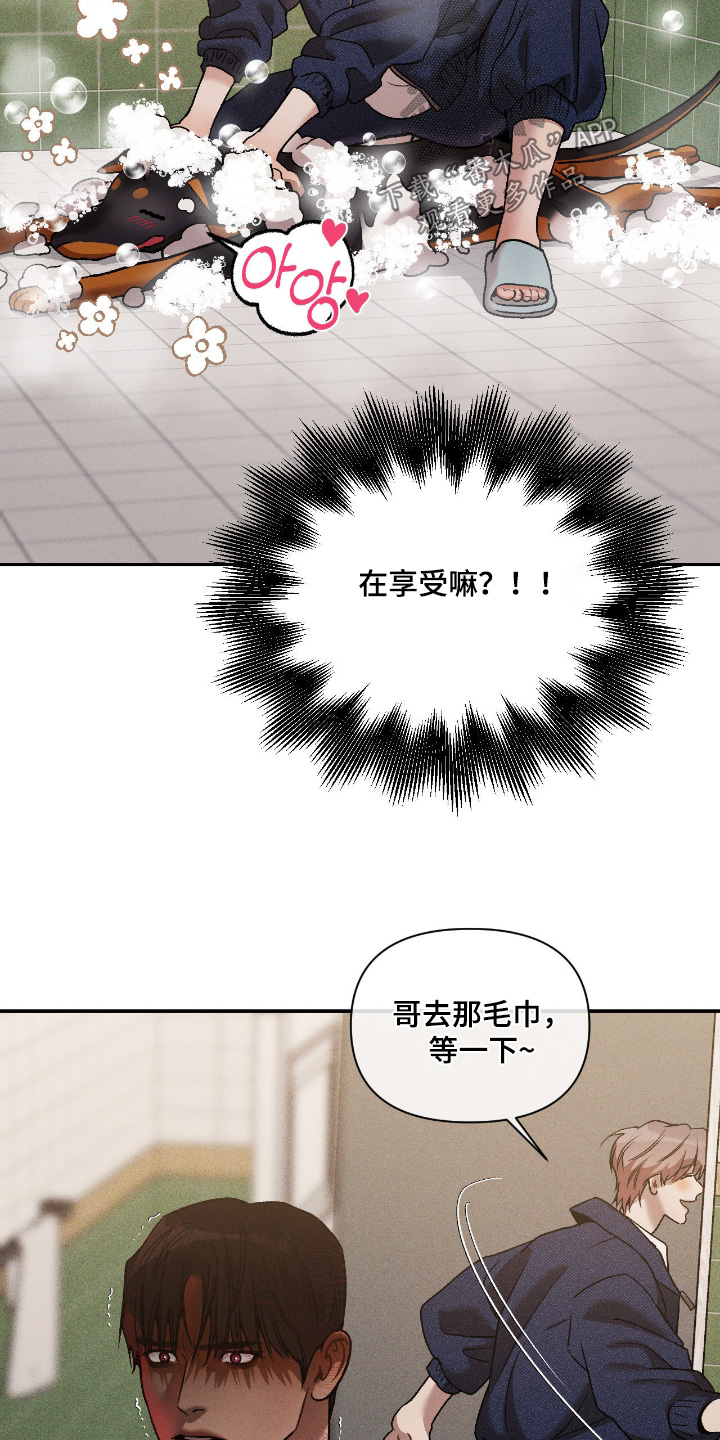 点燃的罪孽漫画,第54章：你继续4图