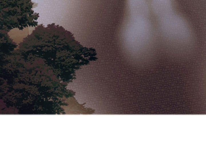 第75章：MVP家族4