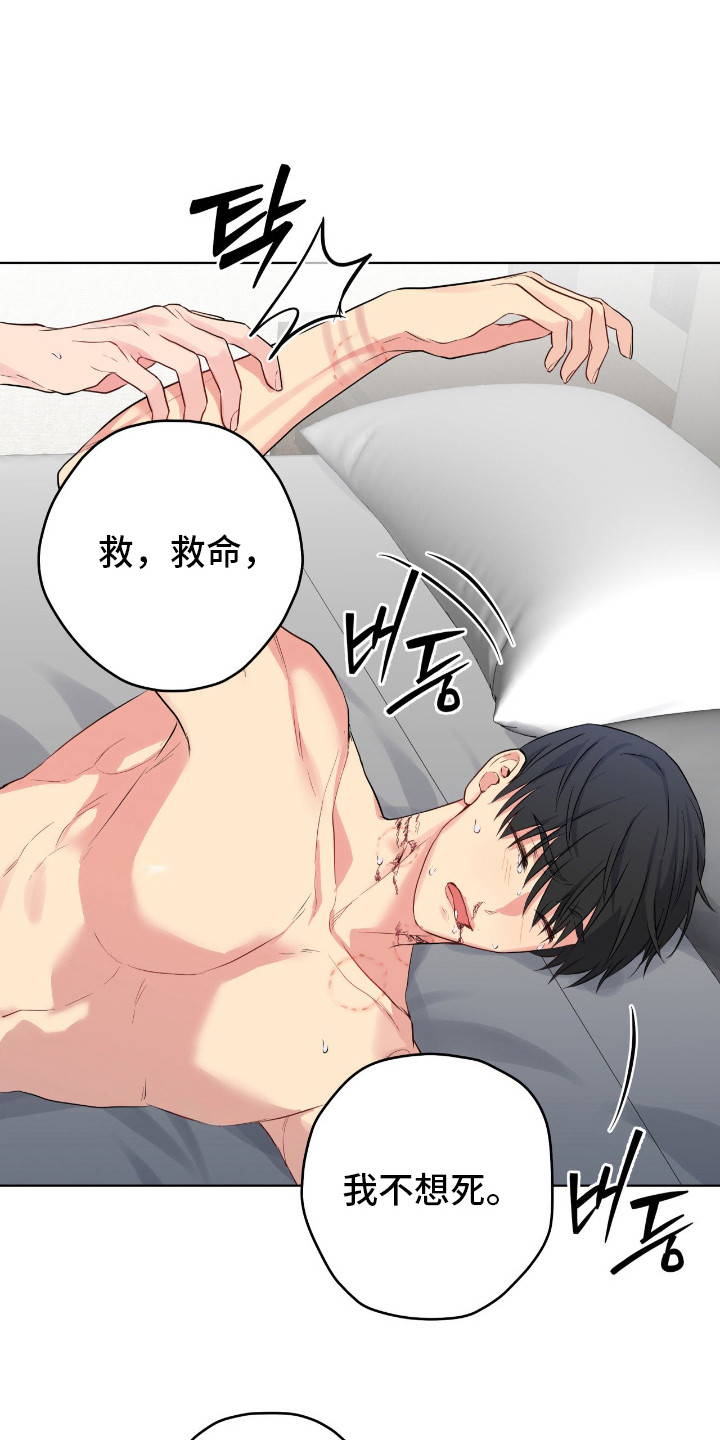 阴暗的幻觉漫画,第75章：记忆枯竭5图