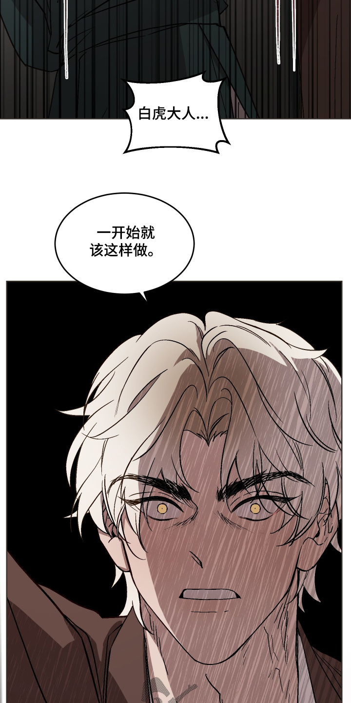 白虎之王漫画,第46章：为什么要维护他【第一季完结】5图