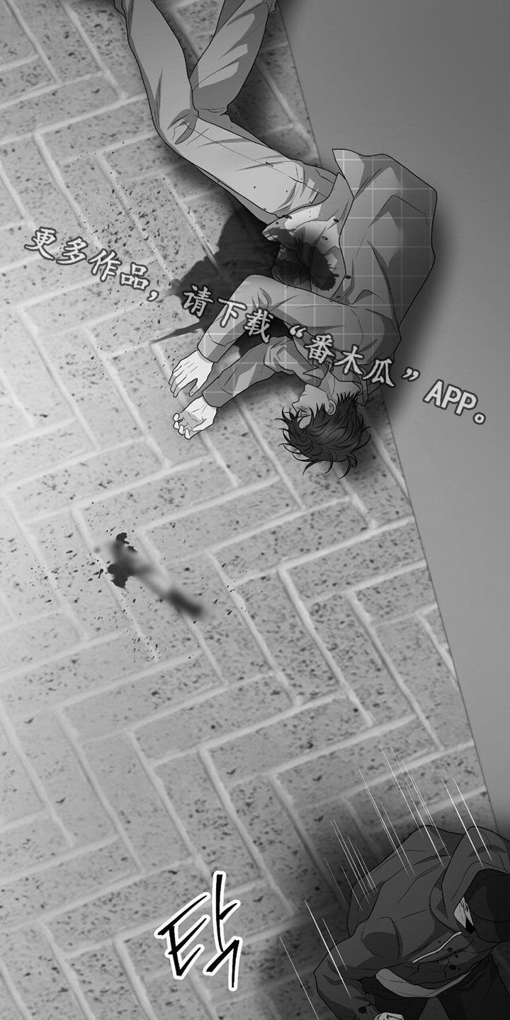 囚爱开端漫画好看吗漫画,第64章：当街行凶5图