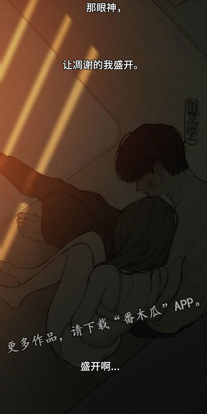 枯萎的花伤心的泪漫画,第225章：盛开4图
