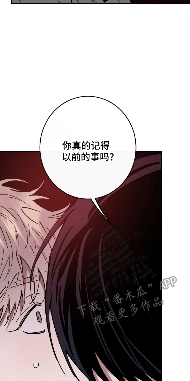 在我掌控中漫画,第39章：当场抓包5图