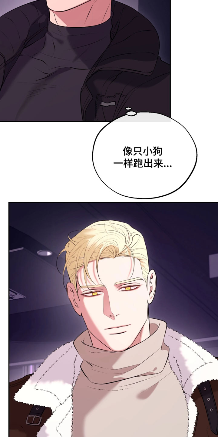 幽灯信标漫画免费观看完漫画,第30章：想要快点抓住4图