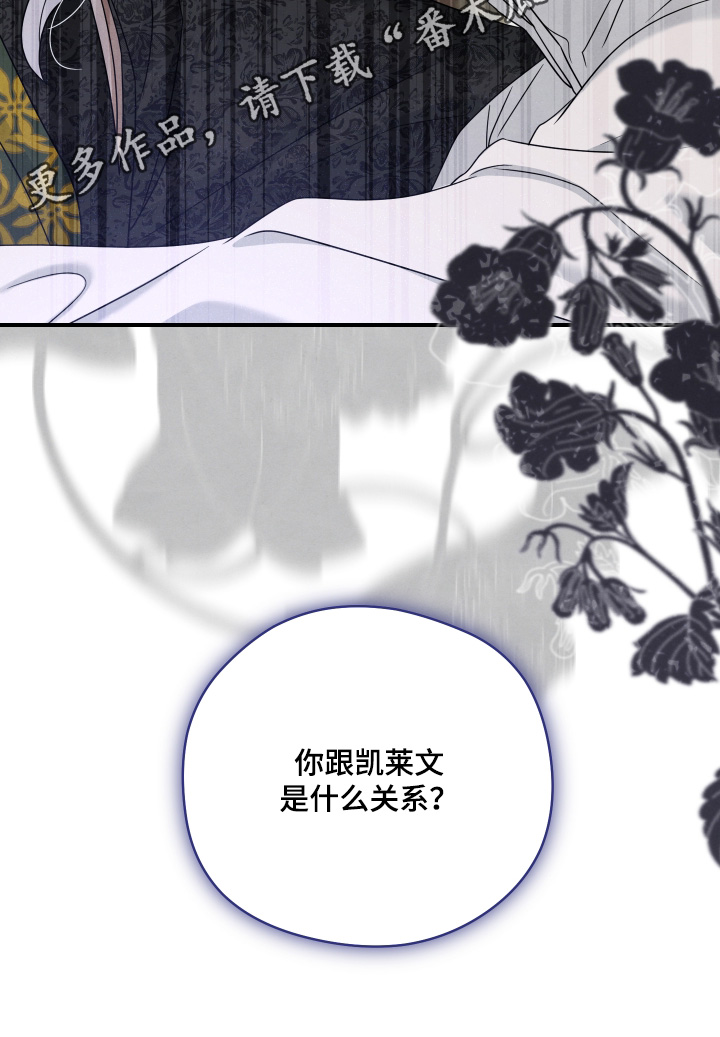 神离之日后漫画,第40章：是什么关系5图