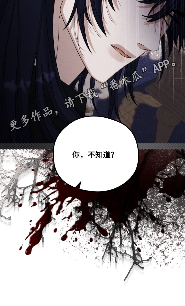 神离之日后漫画,第42章：你不知道3图