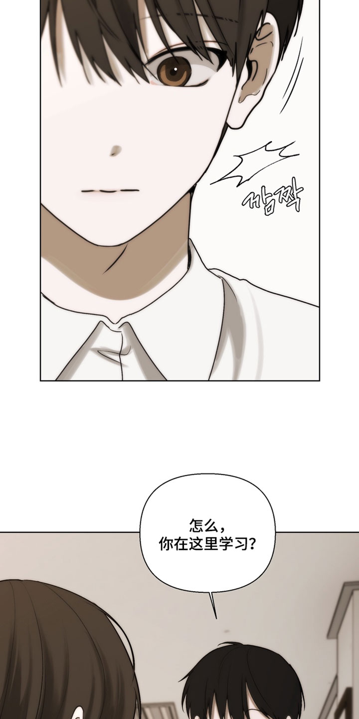 不良少年饲养手册漫画,第44章：这个人话真多1图