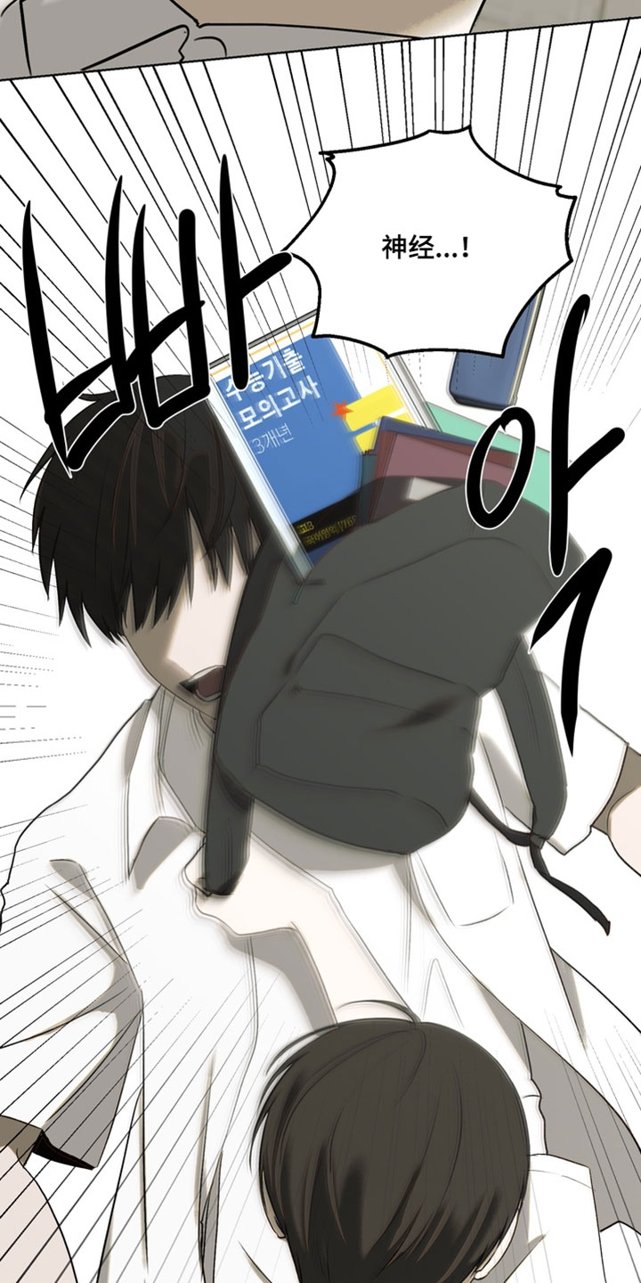 不良少年饲养手册漫画,第47章：打架4图