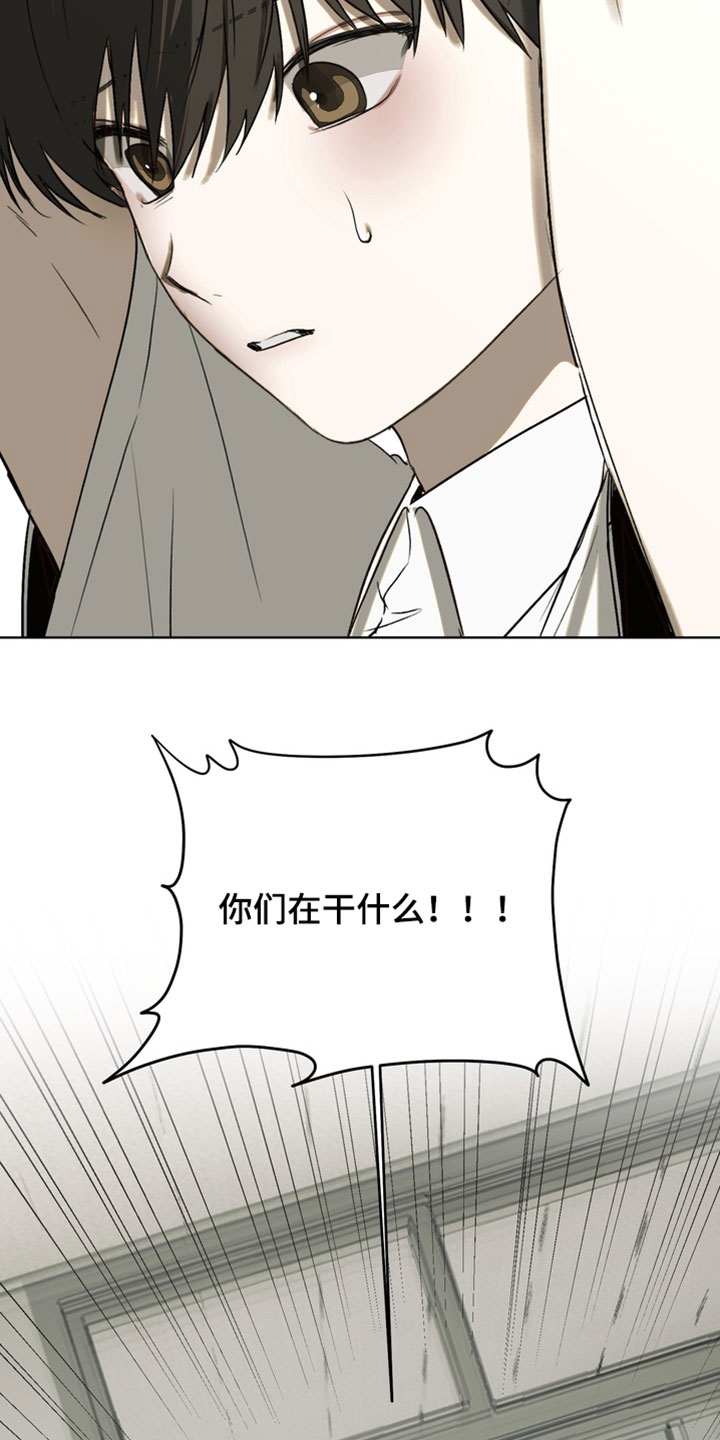 不良少年饲养手册漫画,第47章：打架5图