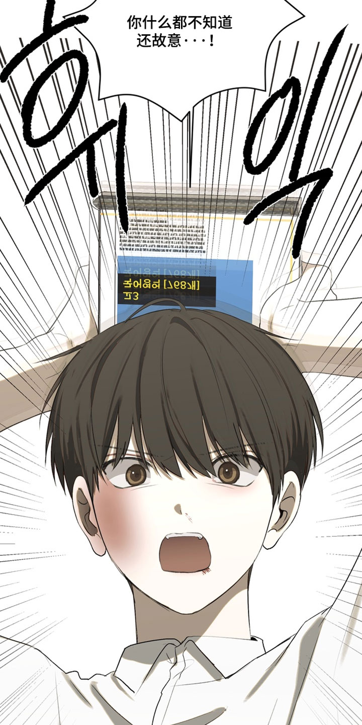 不良少年饲养手册漫画,第47章：打架1图