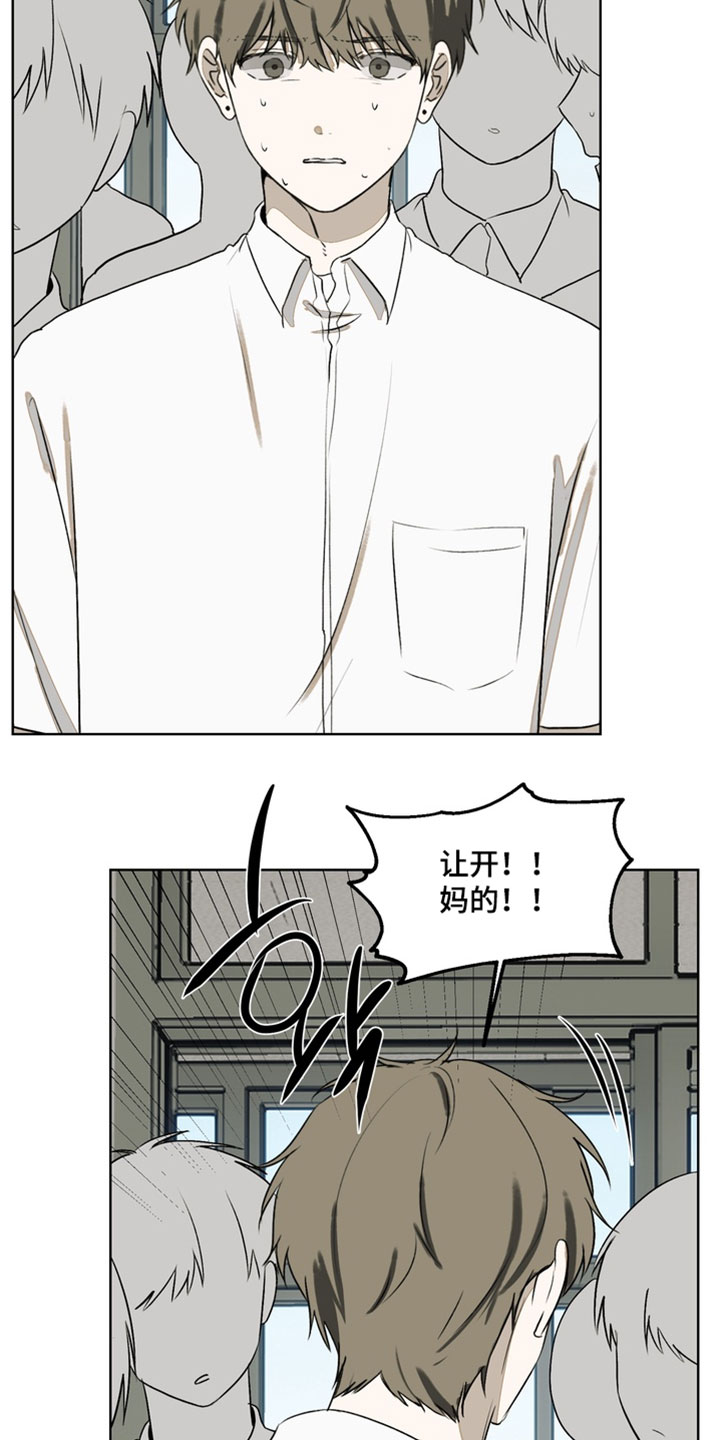 不良少年饲养手册漫画,第47章：打架4图