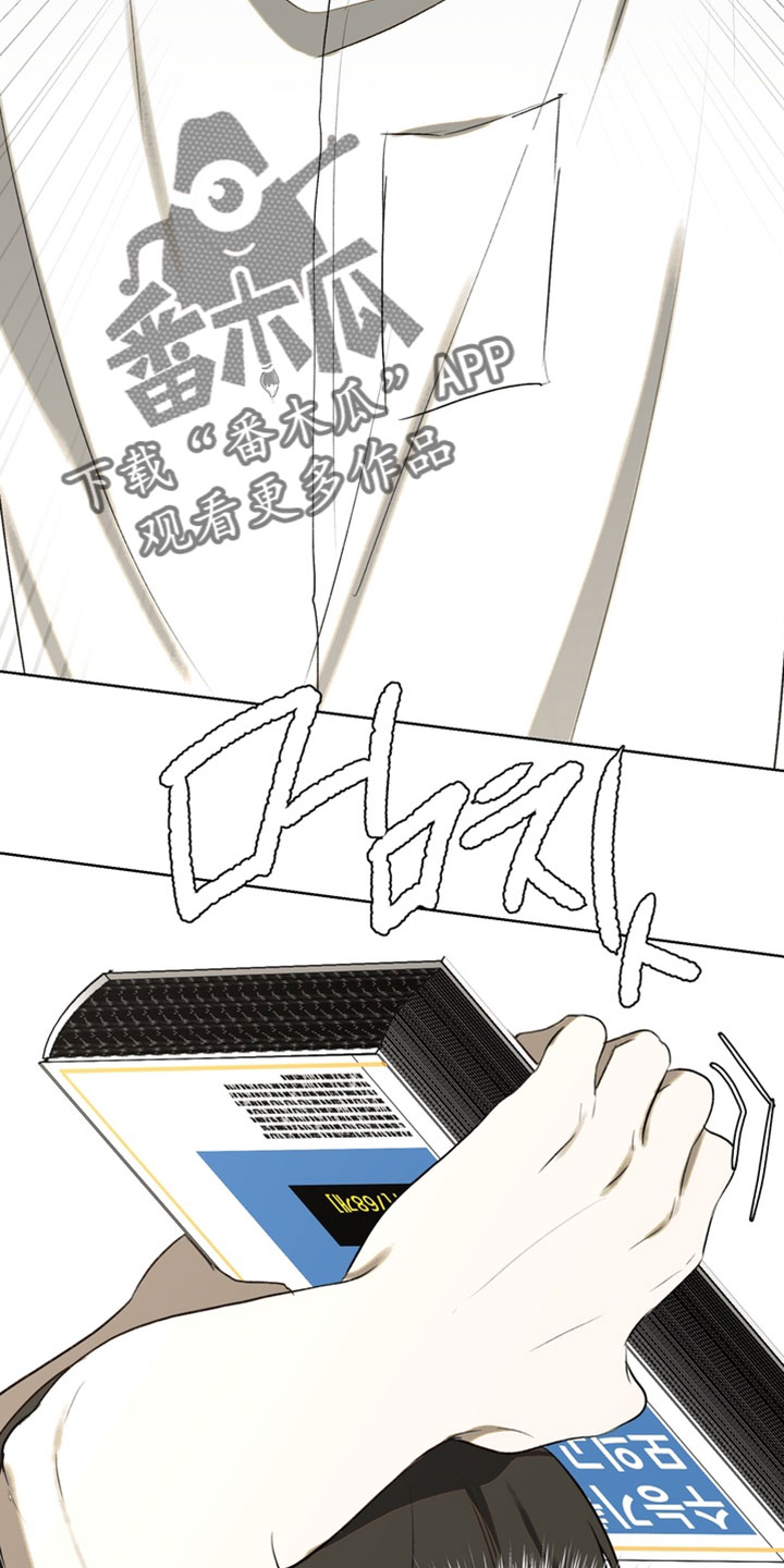 不良少年饲养手册漫画,第47章：打架2图