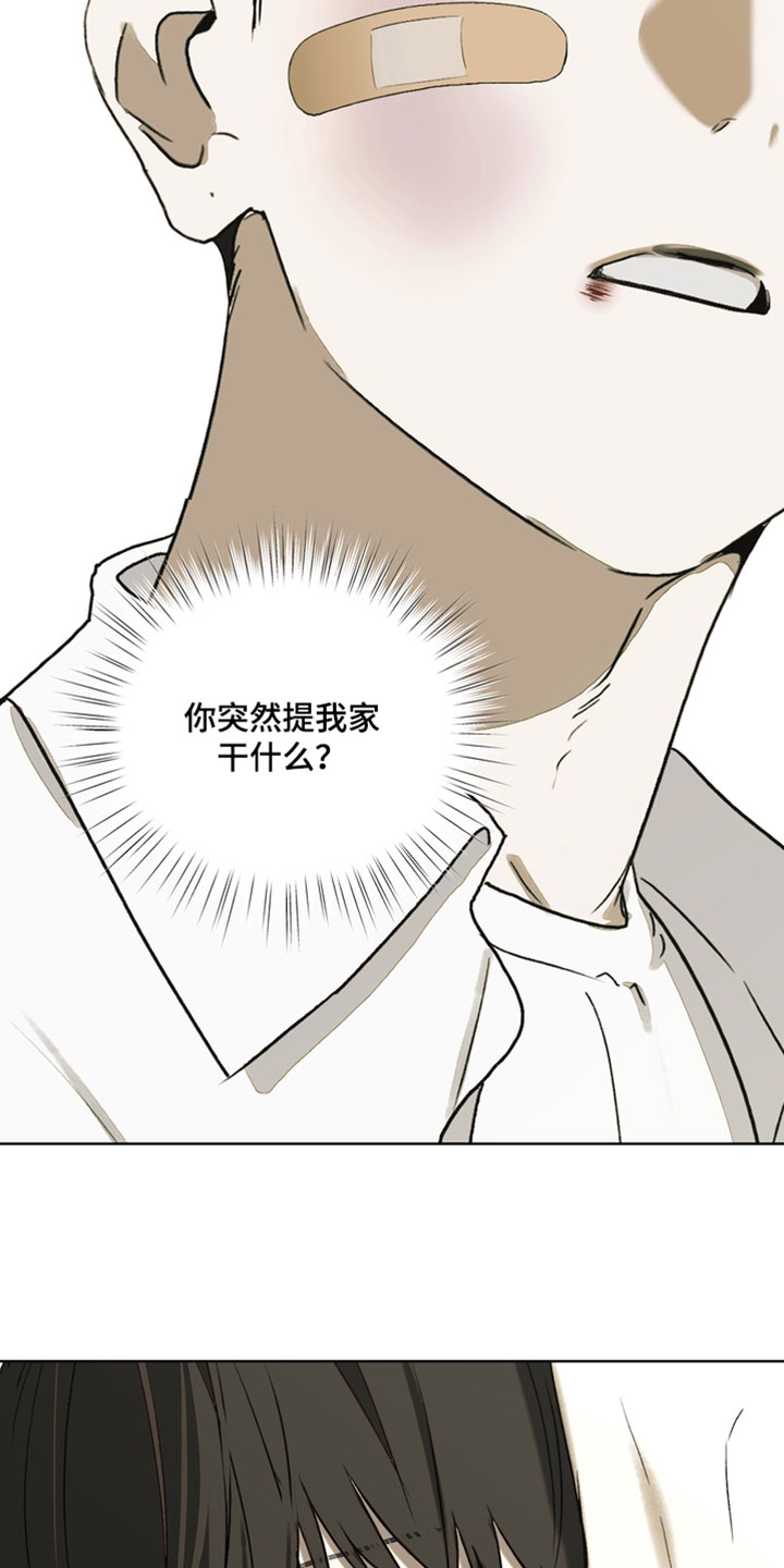 不良少年饲养手册漫画,第47章：打架4图