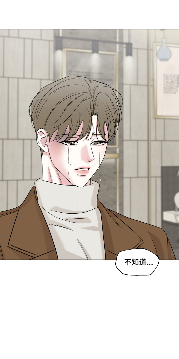 灰阶继承者漫画书籍漫画,第45章：因为爱你4图