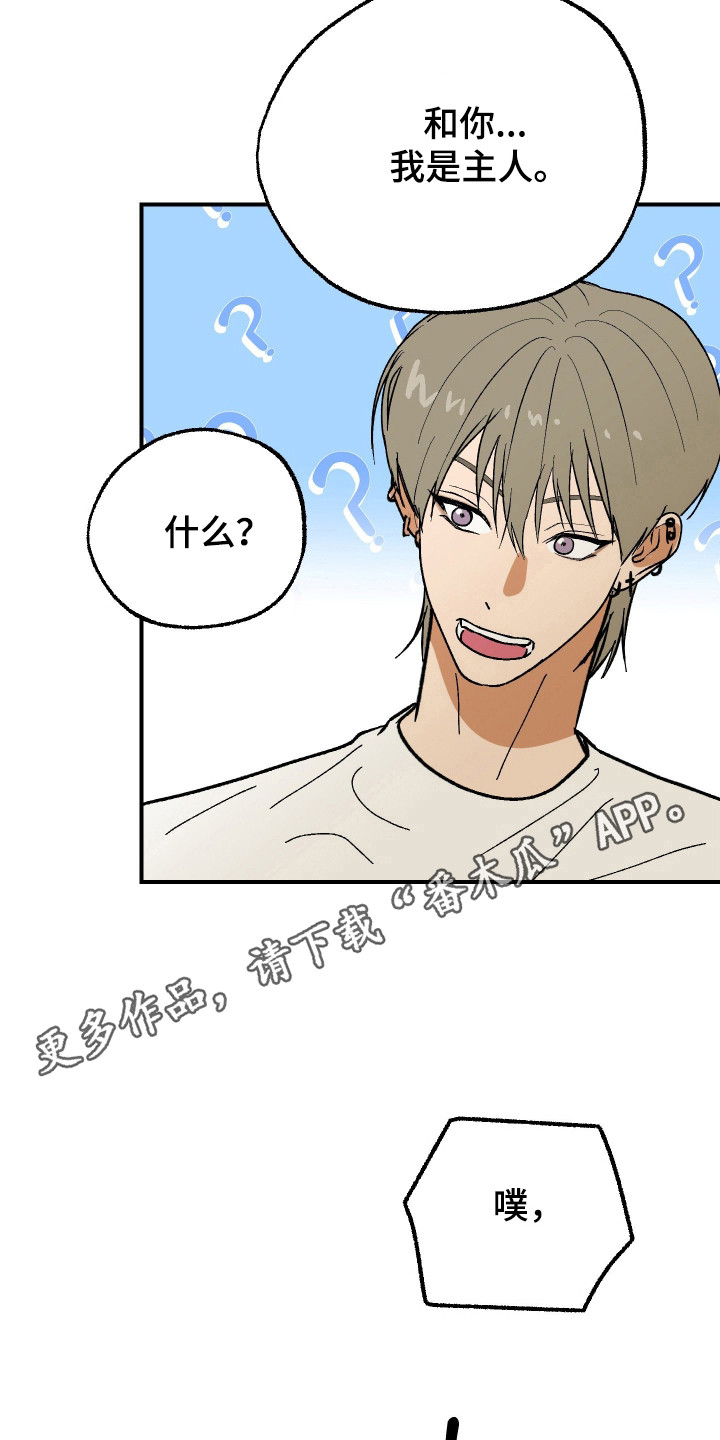 灵异共生脱单技巧漫画,第39章：惊吓感觉3图