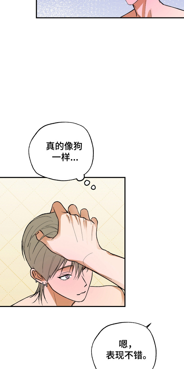 同居的秘密法则漫画,第42章：要求夸赞4图