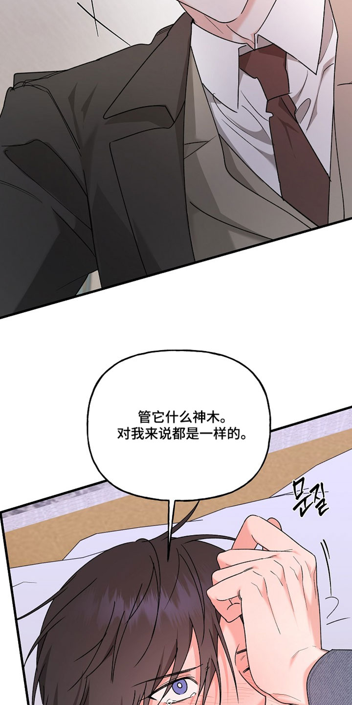 命中犯虎漫画,第47章：我只是想要保护你1图