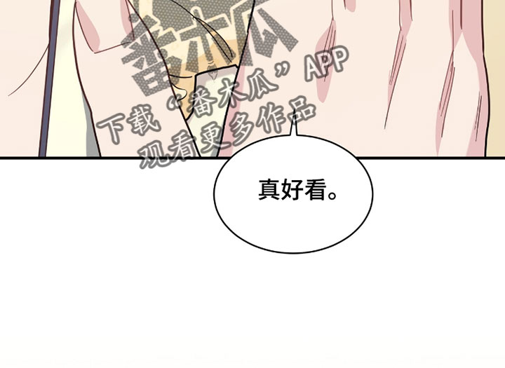 星光与谎言漫画,第36章：竞拍午餐3图