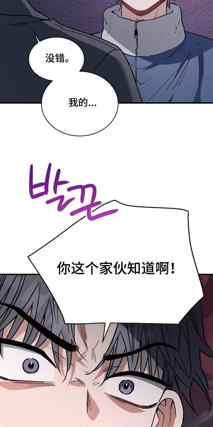 星光与谎言漫画,第37章：吵架4图