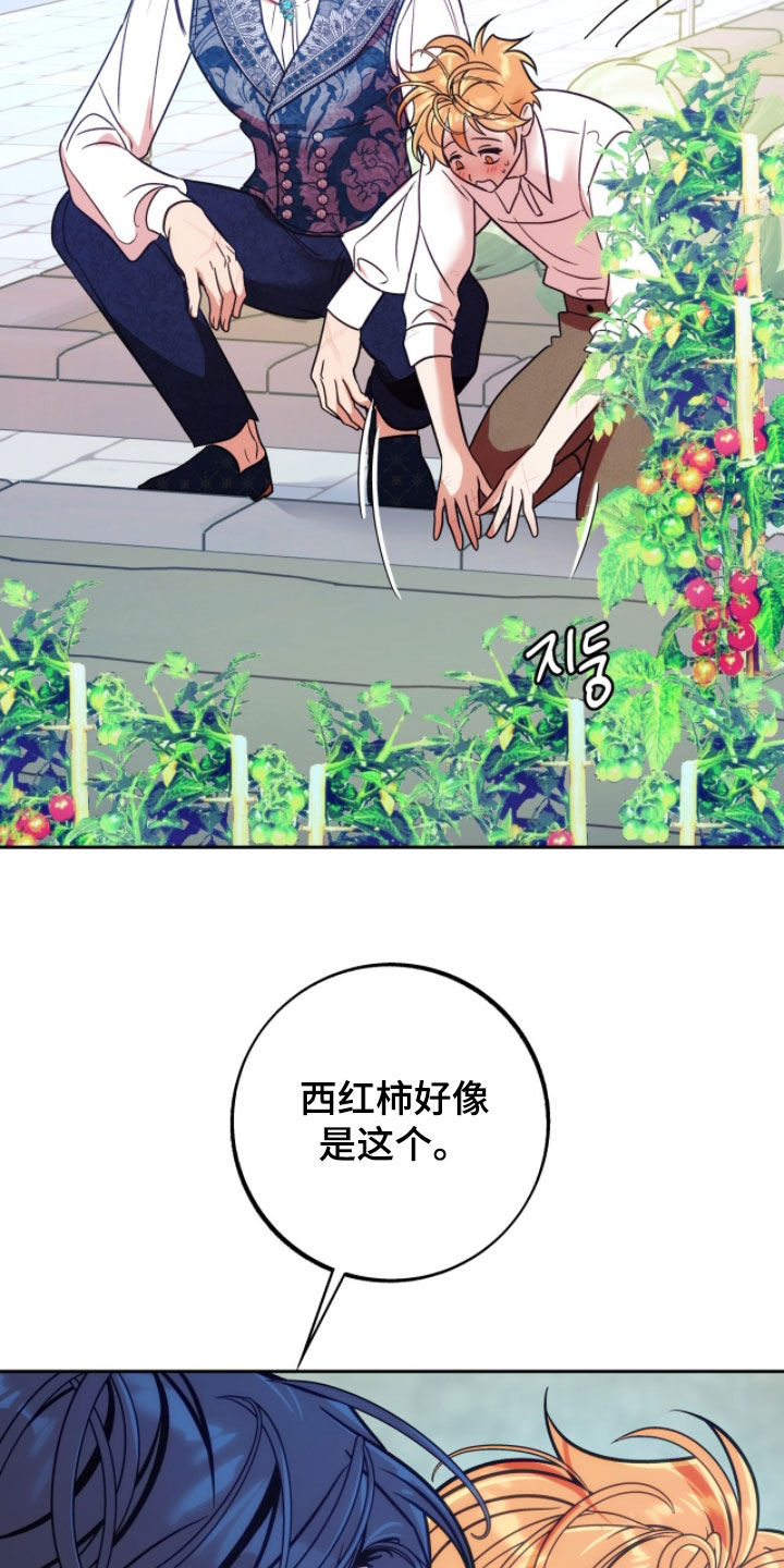 第41章：都是我的4