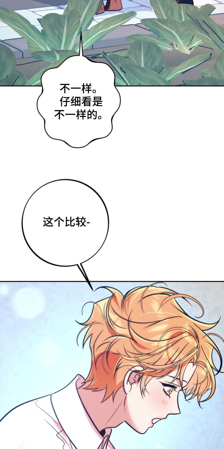第41章：都是我的3