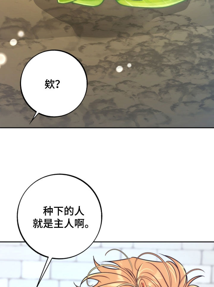 第41章：都是我的2