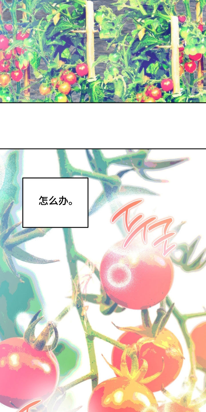 第41章：都是我的0