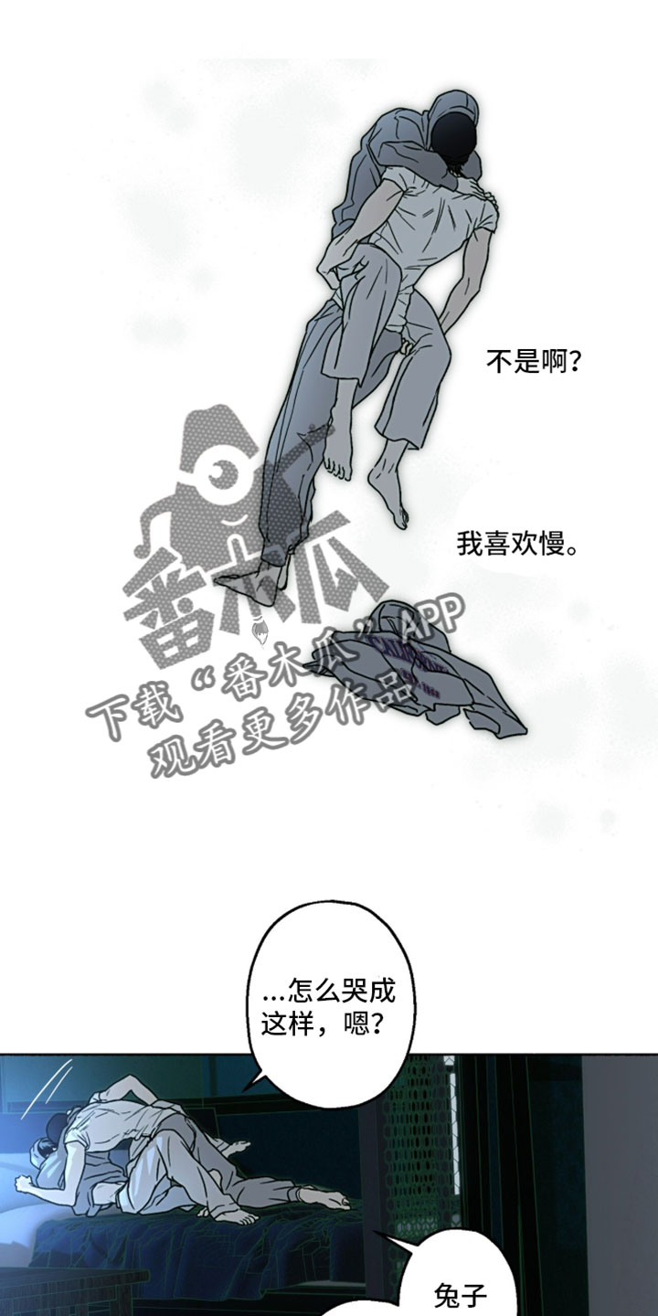 梦想男孩漫画,第46章：美梦5图