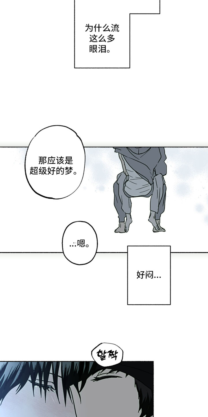 梦想男孩漫画,第46章：美梦3图