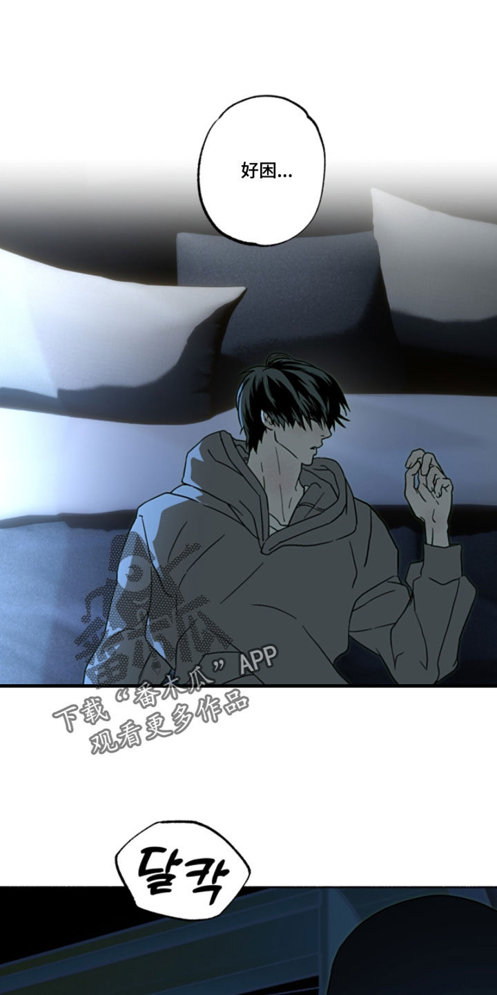 梦想男孩漫画,第47章：喜欢你说的一切4图