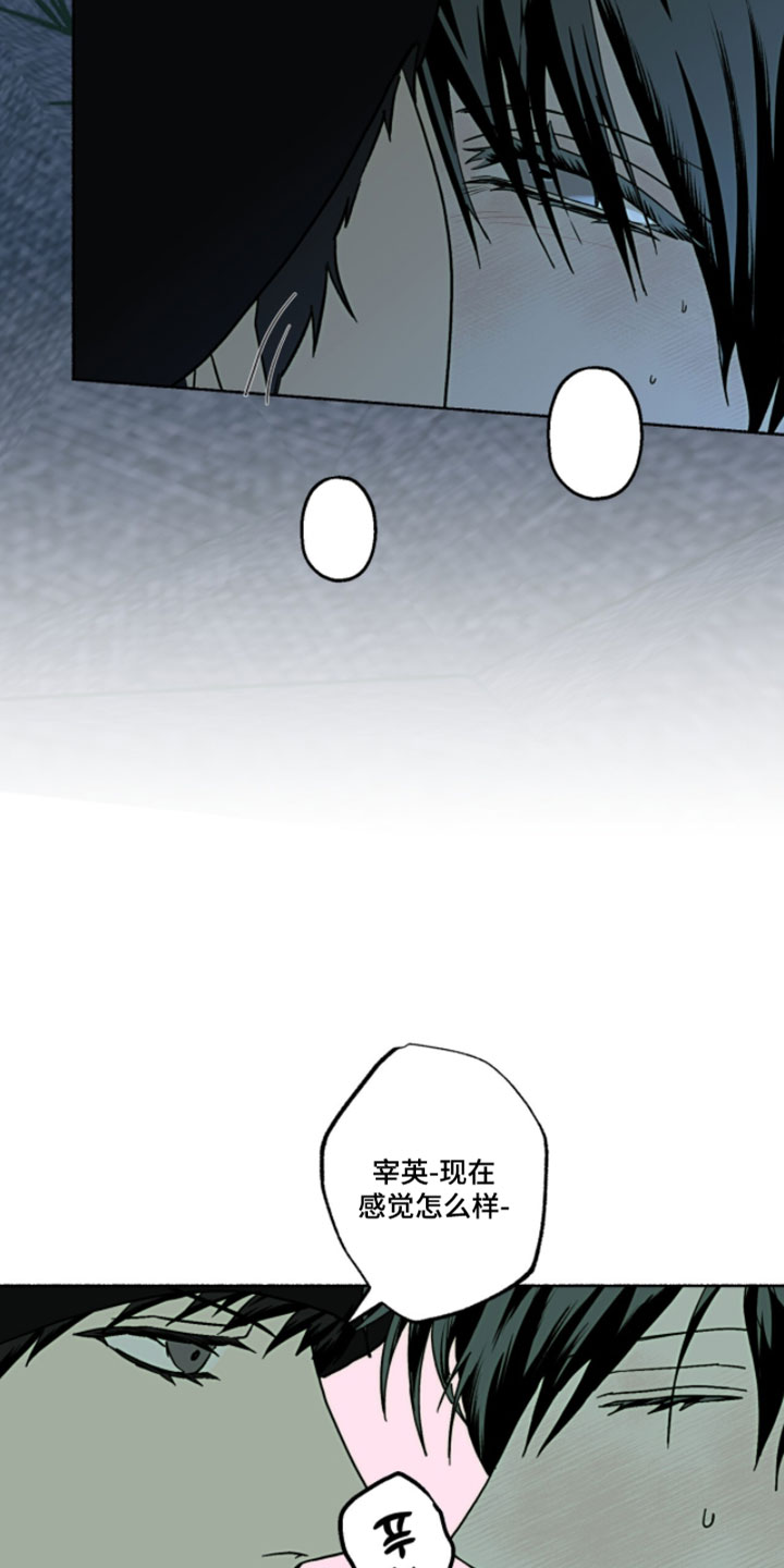 梦想男孩漫画,第47章：喜欢你说的一切2图