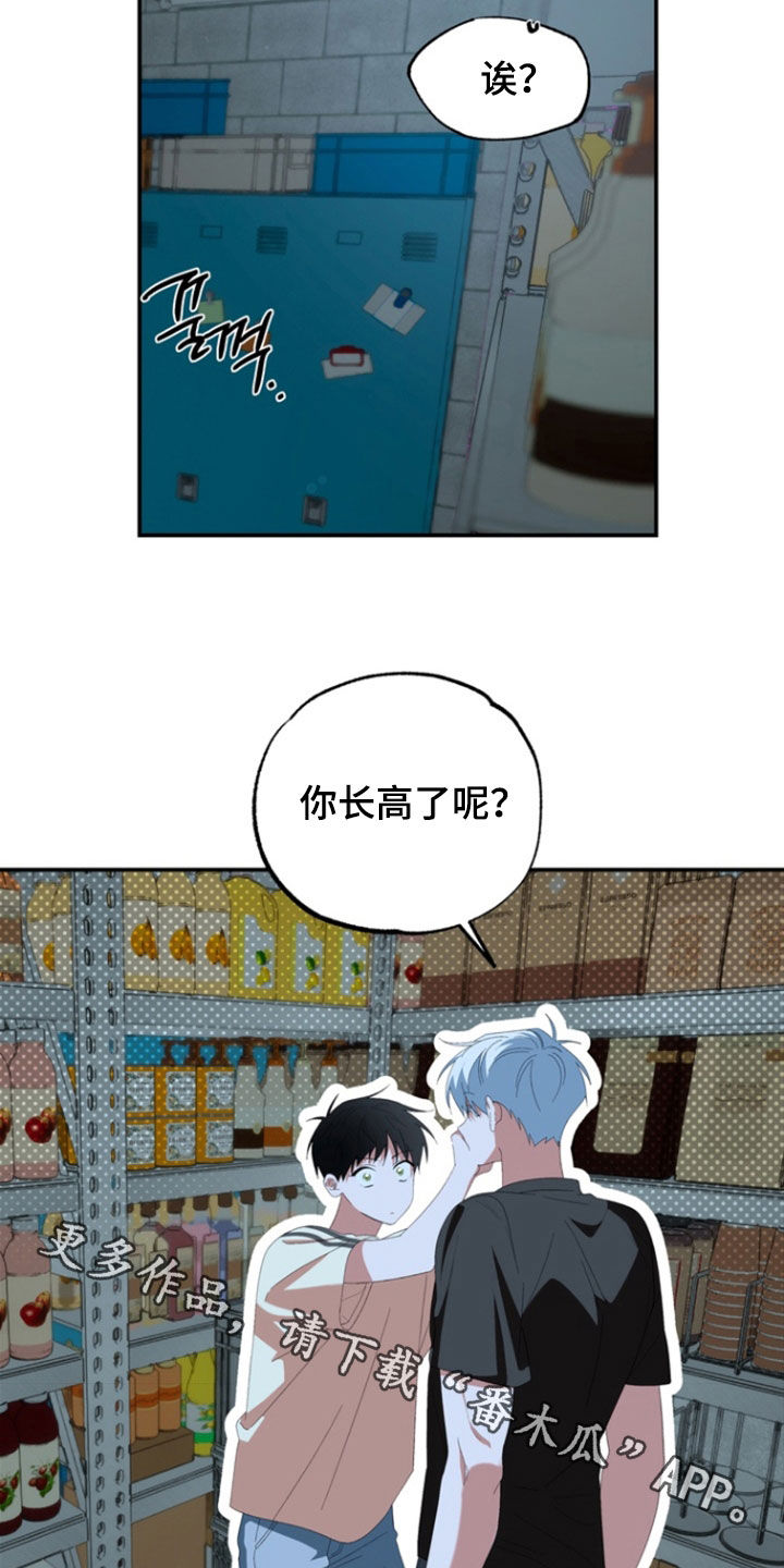 我的老鼠学长漫画,第30章：你长高了呢1图