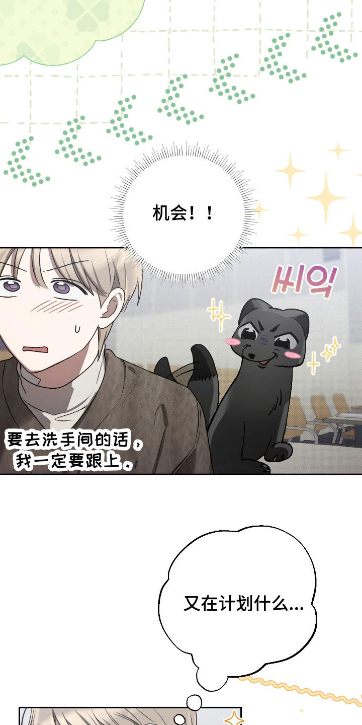 玻璃糖心漫画,第27章：都说了没事4图