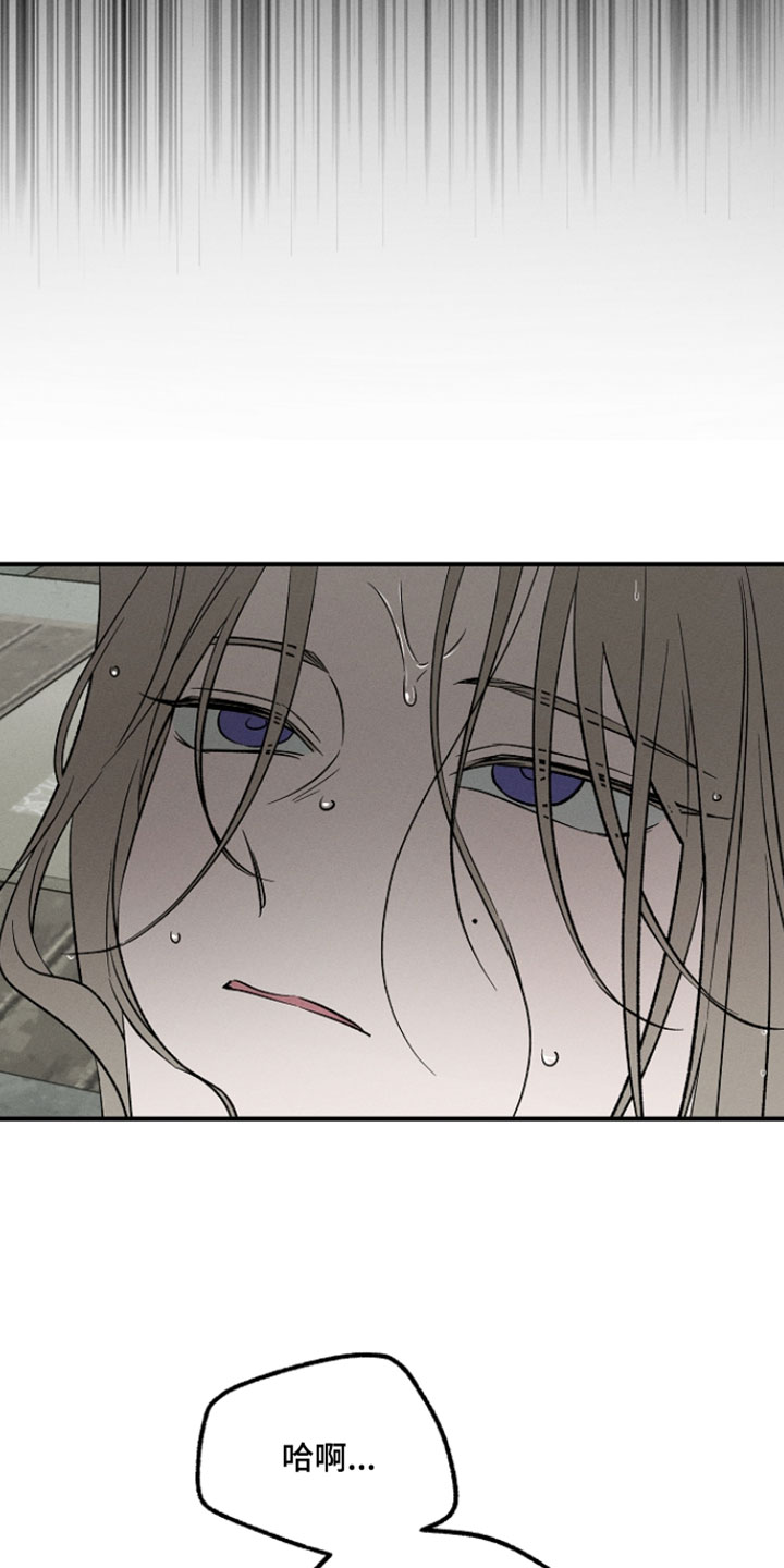 异世界奴隶漫画,第32章：天上有好多的星星3图