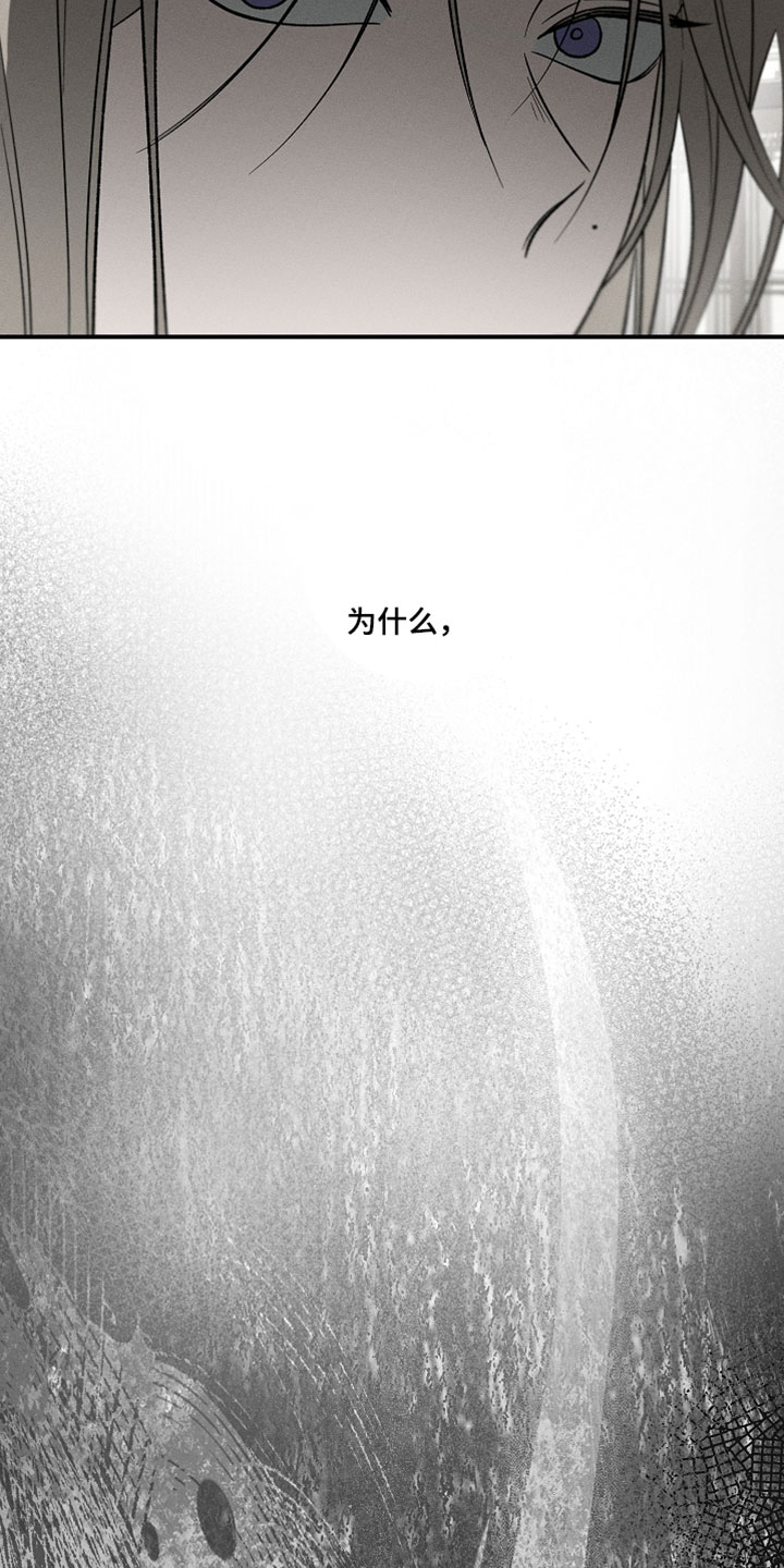 异世界奴隶漫画,第38章：为什么1图