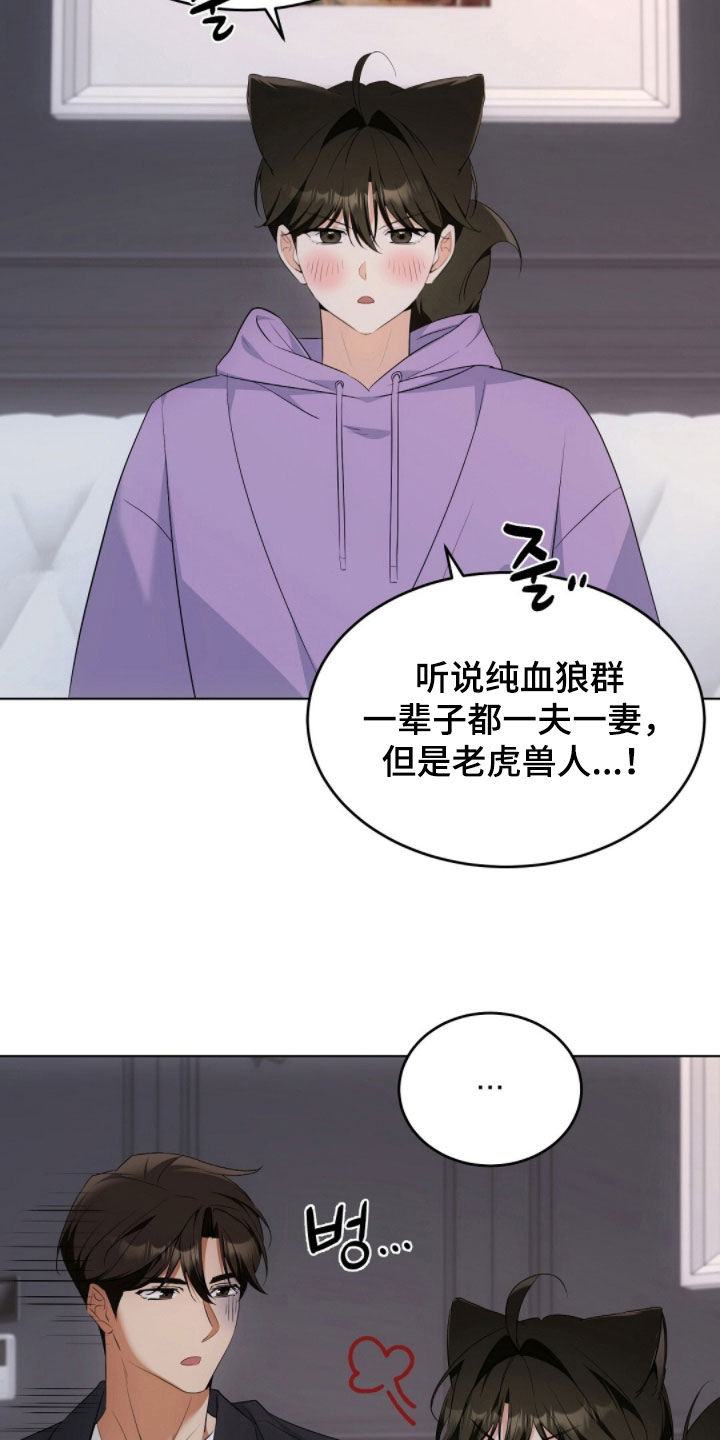《我的黑猫少年》漫画漫画,第37章：吃醋了吗4图