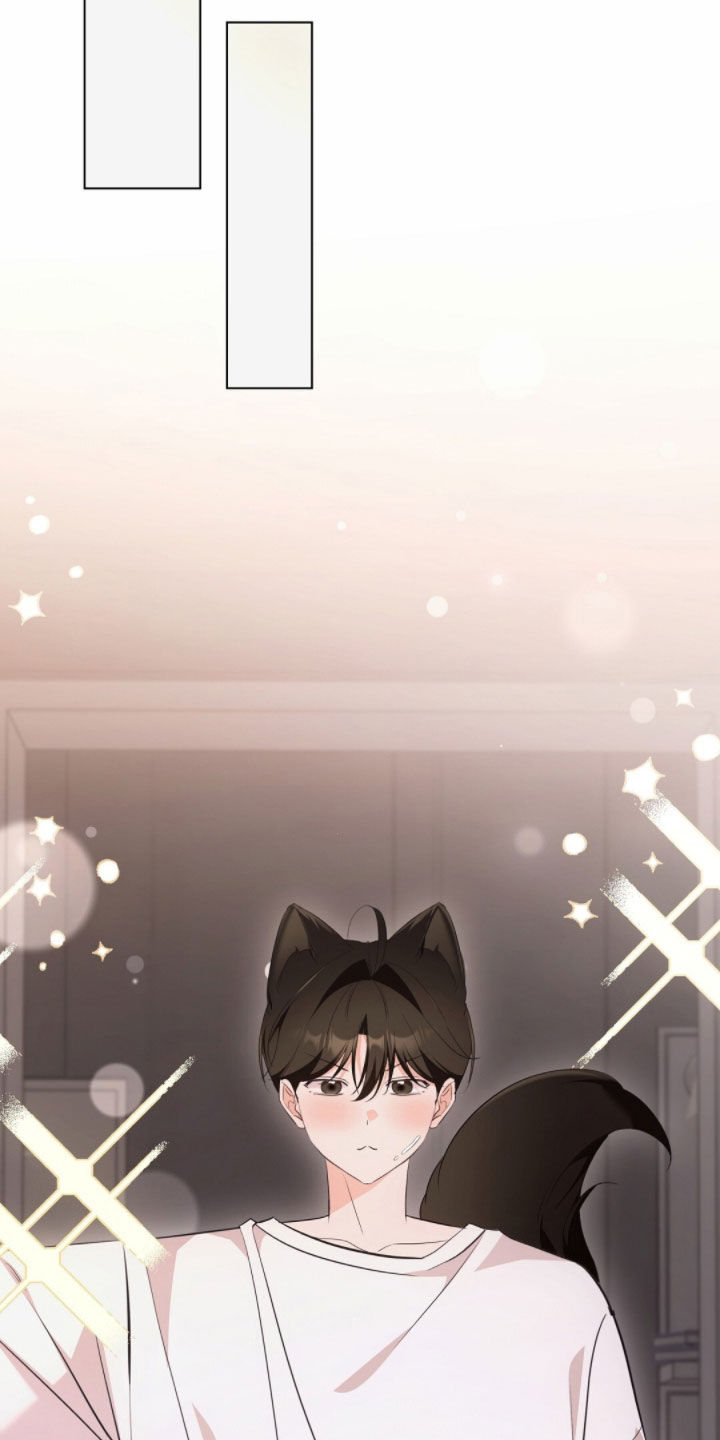 我的黑猫男友小短篇漫画,第38章：转账1图