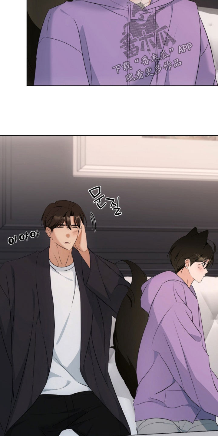 我的黑猫男友小短篇漫画,第38章：转账1图