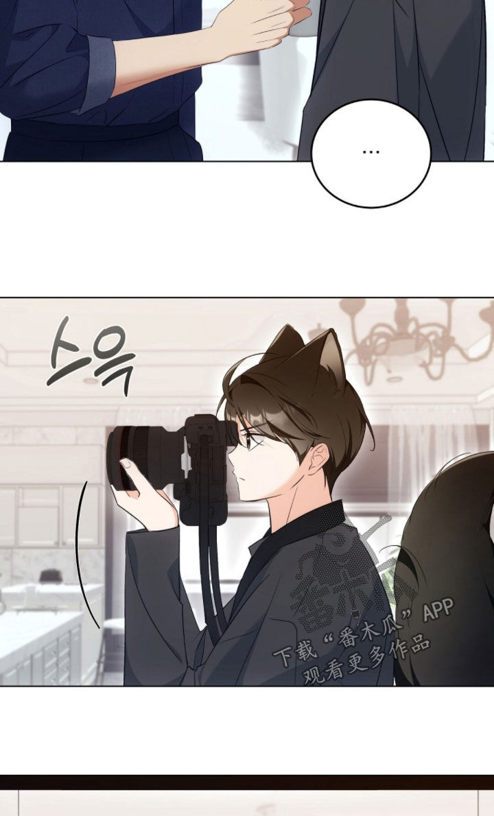 《我的黑猫少年》漫画漫画,第35章：身价2图