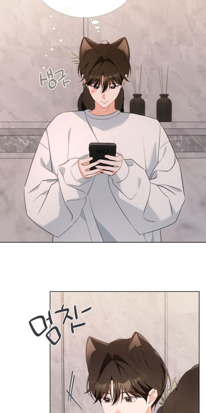 我的黑猫男友小短篇漫画,第38章：转账3图